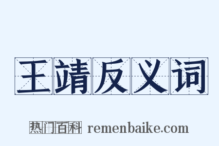 王靖反义词是什么意思的图片